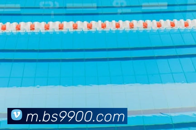 App Interface Preview