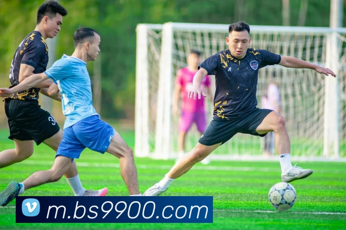 百胜彩票官网平台登录入口APP 封面图